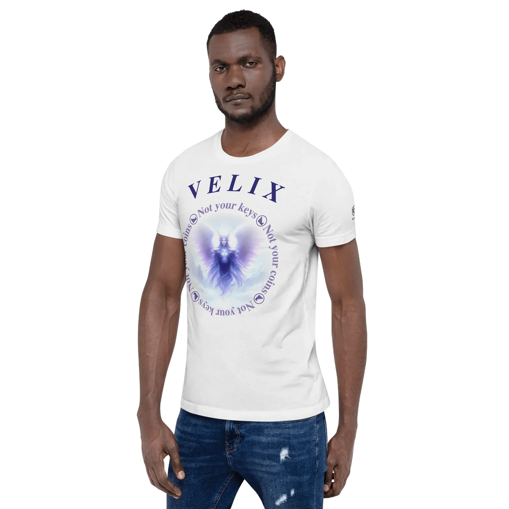 VELIX Crypto T-Shirt - VELIX Crypto T-Shirt - Private Key / XS | Exklusive T-Shirt Streetwear von HODL®
