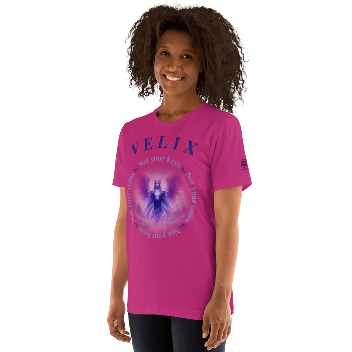 VELIX Crypto T-Shirt - VELIX Crypto T-Shirt - Private Key / XS | Exklusive T-Shirt Streetwear von HODL®