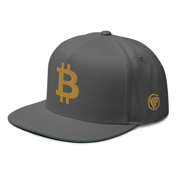 Bitcoin Cap Flat Bill in Silver with 3D Gold embroidery – angled view