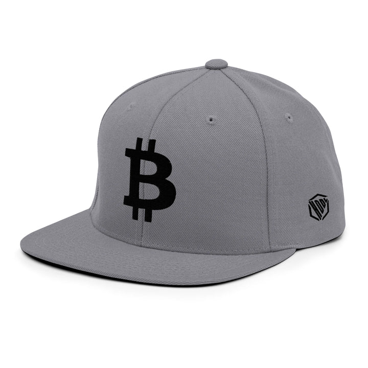Bitcoin Cap Snapback in Silver with 3D Black embroidery – angled view