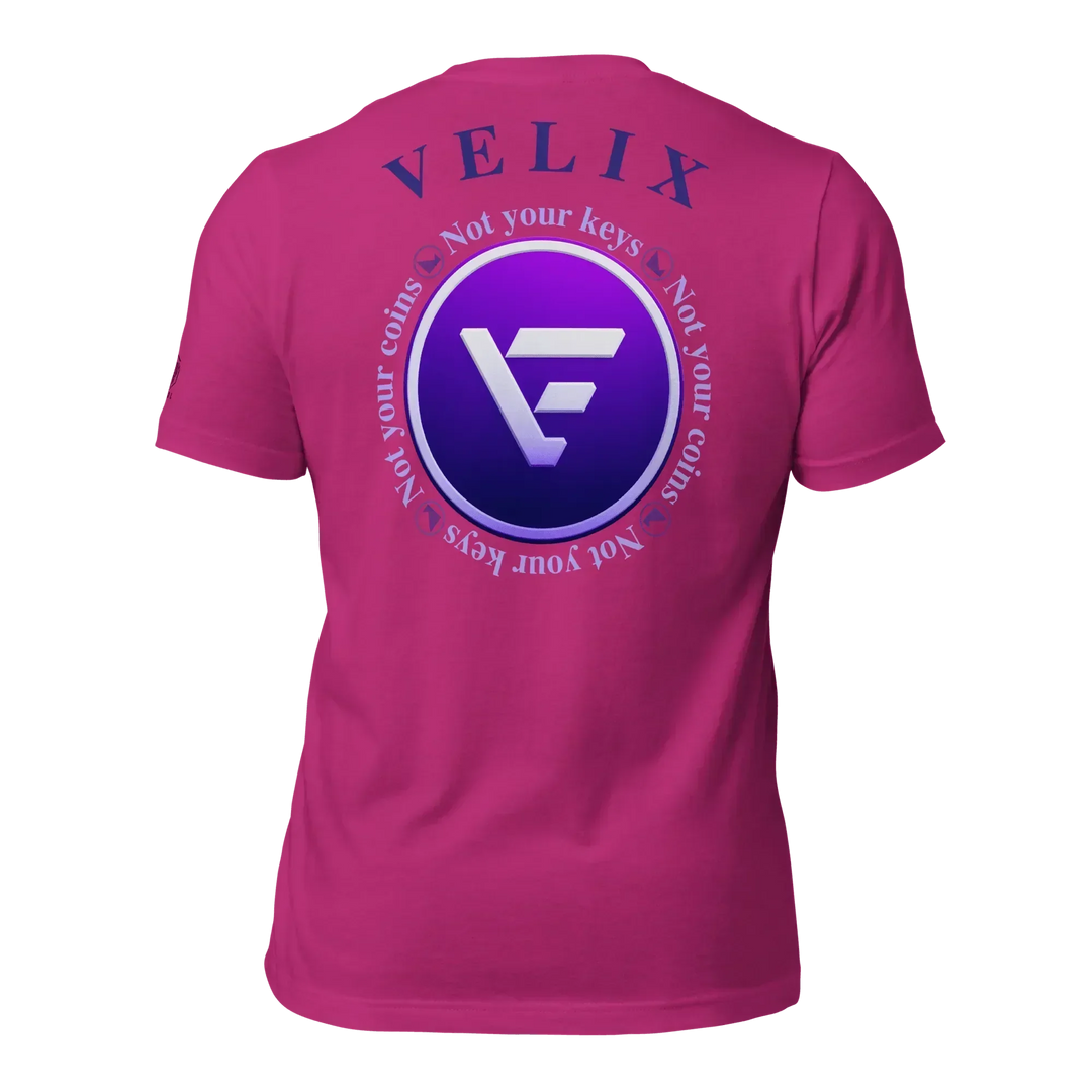 VELIX Crypto T-Shirt New Logo - VELIX Crypto T-Shirt New Logo - Private Key / XS | Exklusive T-Shirt Streetwear von HODL®