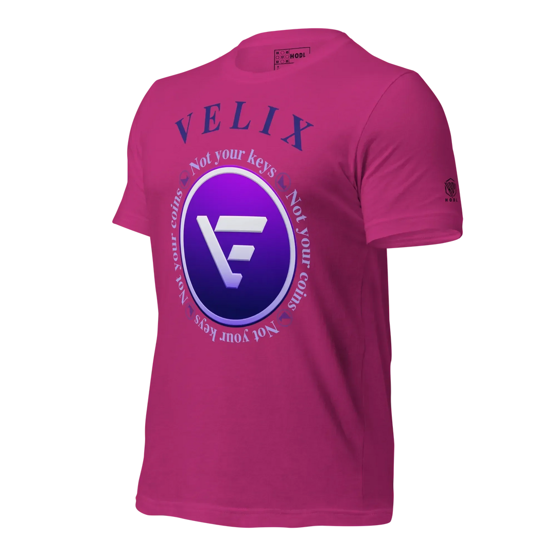 VELIX Crypto T-Shirt Not Your Keys - VELIX Crypto T-Shirt Not Your Keys - Private Key / XS | Exklusive T-Shirt Streetwear von HODL®