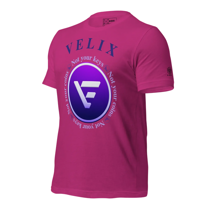 VELIX Crypto T-Shirt Not Your Keys - VELIX Crypto T-Shirt Not Your Keys - Private Key / XS | Exklusive T-Shirt Streetwear von HODL®
